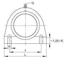 直立式軸承座單元 PSHE30-TV-FA125.5, 塑料軸承座，帶偏心鎖圈的外球面球軸承，帶 Corrotect? 涂層，P型密封