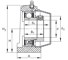 直立式軸承座單元 PSHE30-TV-FA125.5, 塑料軸承座，帶偏心鎖圈的外球面球軸承，帶 Corrotect? 涂層，P型密封